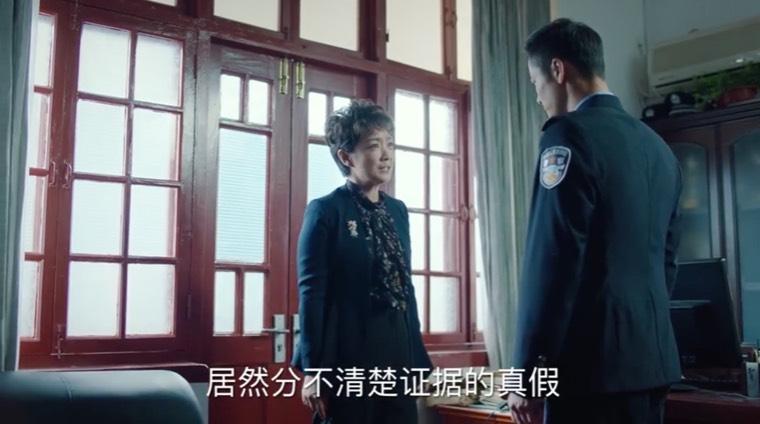 巡回检察组第20集分集剧情介绍